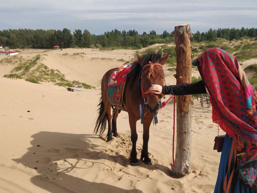 沙漠2.jpg 沙漠2.jpg